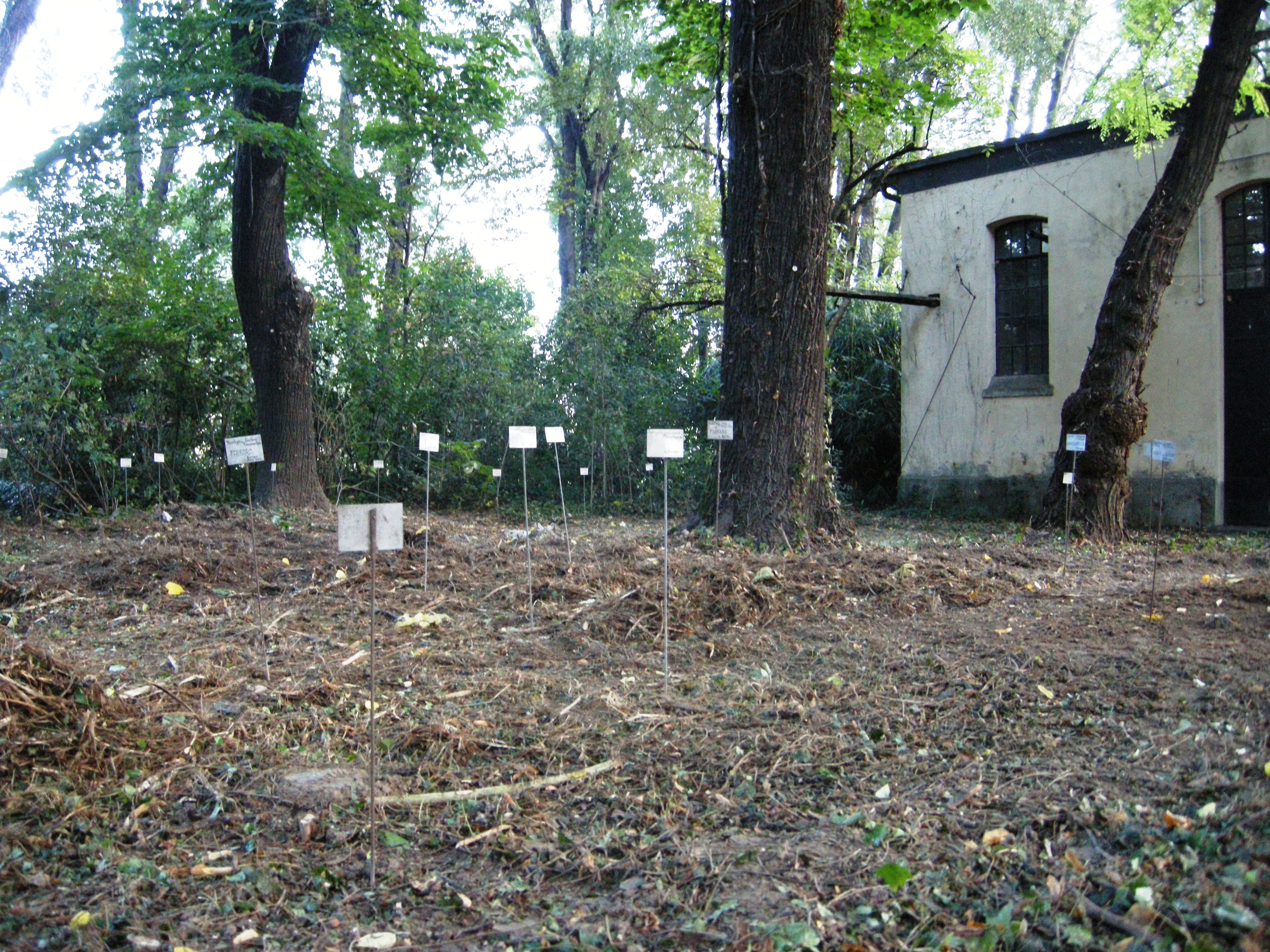 Cimitero 2013