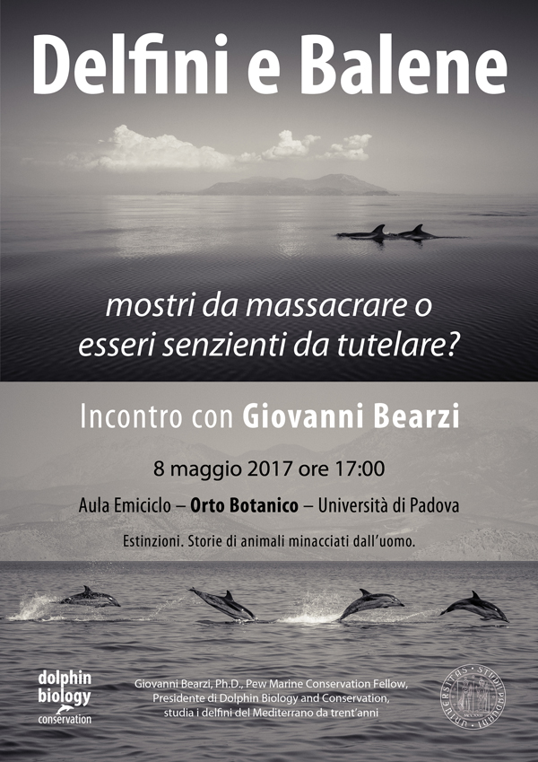 Delfini e balene all'Orto botanico di Padova