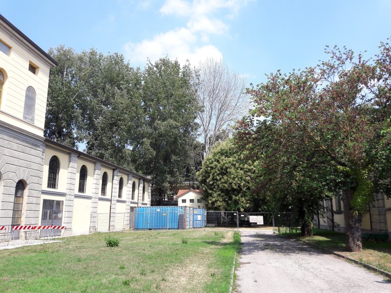 Lettera di diffida per taglio piante
