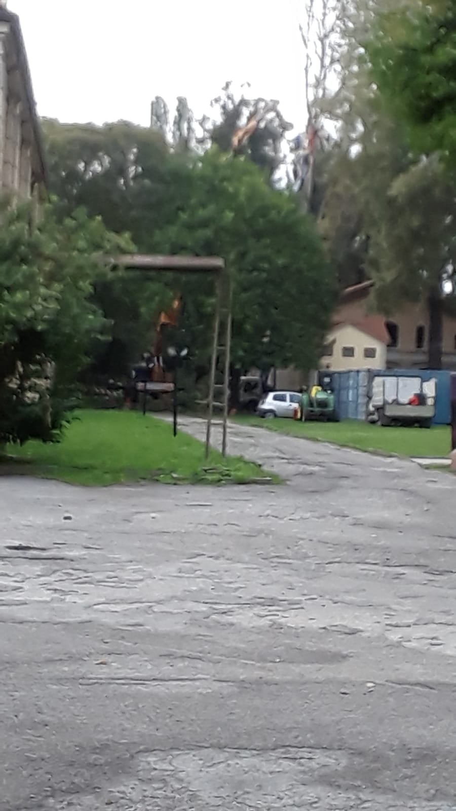 Al via il taglio degli alberi all'ex Macello di Via Cornaro